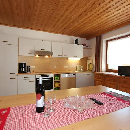 Anita-3 By Interhome Zellberg