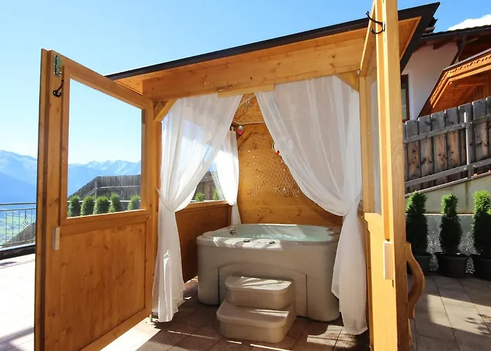 Anita-3 By Interhome * Zellberg