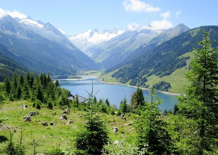 Anita-3 By Interhome Zellberg